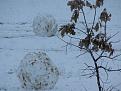 Click image for larger version

Name:	first snow 2007 017.JPG
Views:	8
Size:	354.5 KB
ID:	444785