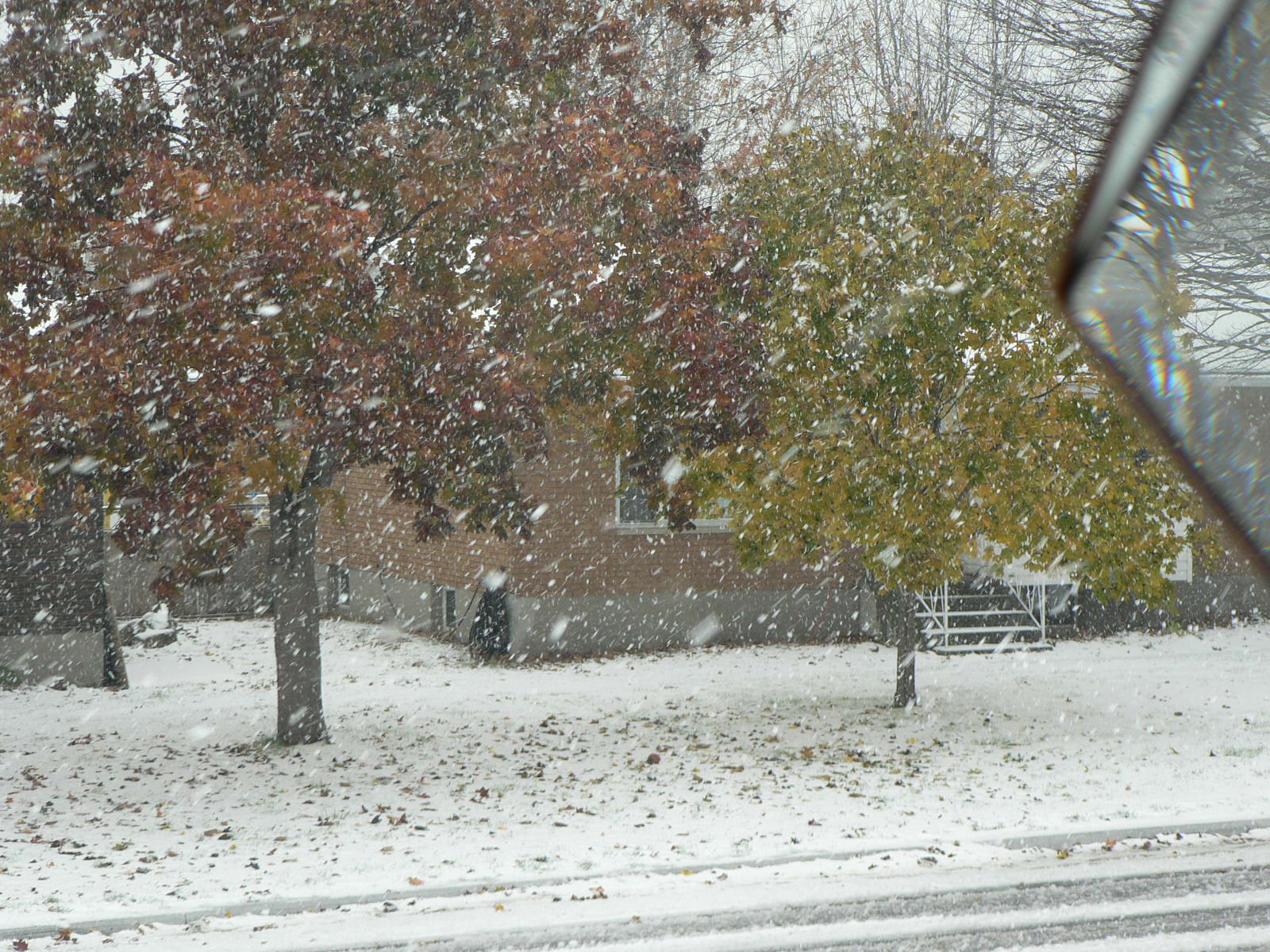 Click image for larger version
Name: first snow 2007 009.JPG
Views: 1
Size: 445.3 KB
ID: 444787