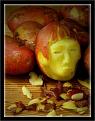 Click image for larger version

Name:	Picture17.jpg
Views:	23
Size:	96.0 KB
ID:	445128