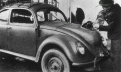 Click image for larger version

Name:	bugwood.gif
Views:	38
Size:	76.9 KB
ID:	445408