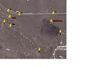 Click image for larger version

Name:	Tesla - CSDB farm close up.JPG
Views:	30
Size:	46.9 KB
ID:	445811
