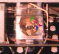 Click image for larger version

Name:	CSET2 200-5mod.jpg
Views:	68
Size:	34.9 KB
ID:	445978