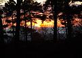 Click image for larger version

Name:	Picture 1254.jpg
Views:	11
Size:	102.8 KB
ID:	447284