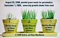 Click image for larger version

Name:	plants.jpg
Views:	58
Size:	92.1 KB
ID:	450345