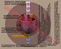 Click image for larger version

Name:	obertonscoil.jpg
Views:	15
Size:	91.0 KB
ID:	450509