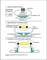 Click image for larger version

Name:	Meyl.jpg
Views:	169
Size:	91.3 KB
ID:	450980
