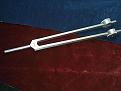 Click image for larger version

Name:	50 Hz Nerve Fork.jpg
Views:	13
Size:	39.0 KB
ID:	451329
