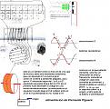 Click image for larger version

Name:	modul-clemente.jpg
Views:	145
Size:	214.4 KB
ID:	454381