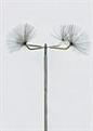 Click image for larger version

Name:	candelabra_thumb.jpg
Views:	44
Size:	1.8 KB
ID:	454611