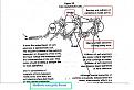 Click image for larger version

Name:	electron avalanche caduceus.JPG
Views:	126
Size:	102.1 KB
ID:	455086
