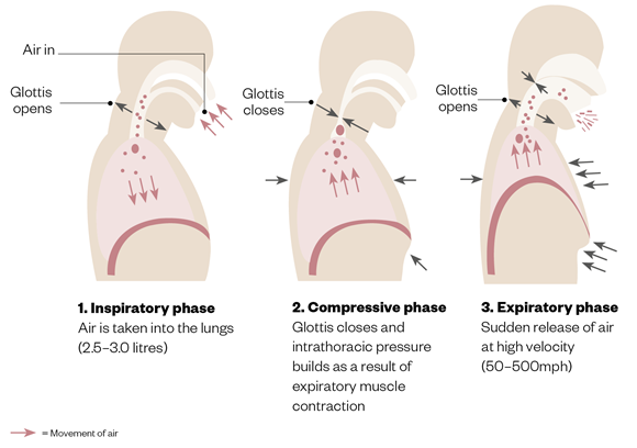 1078714_Cough-figure-1.png Click image for larger version Name: 1078714_Cough-figure-1.png Views: 0 Size: 91.7 KB ID: 496958