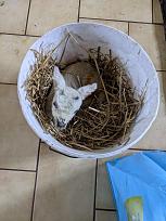 Click image for larger version

Name:	IMG-20210411-WA0000.jpg
Views:	117
Size:	132.3 KB
ID:	507394